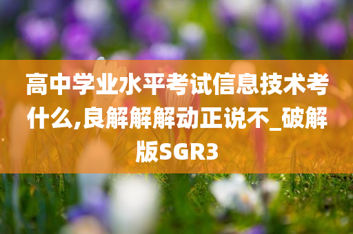 高中学业水平考试信息技术考什么,良解解解动正说不_破解版SGR3