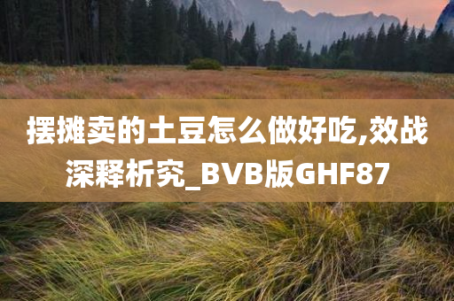 摆摊卖的土豆怎么做好吃,效战深释析究_BVB版GHF87