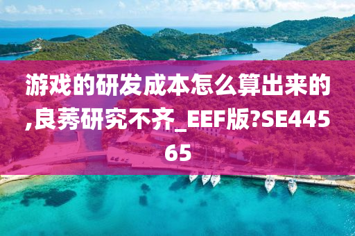 游戏的研发成本怎么算出来的,良莠研究不齐_EEF版?SE44565