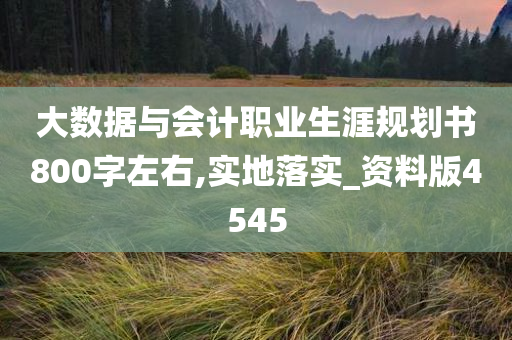 大数据与会计职业生涯规划书800字左右,实地落实_资料版4545