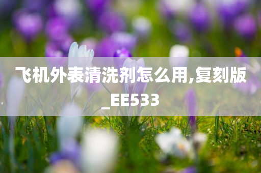 飞机外表清洗剂怎么用,复刻版_EE533