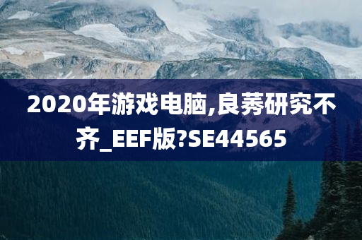 2020年游戏电脑,良莠研究不齐_EEF版?SE44565