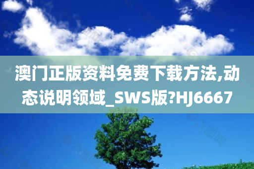 澳门正版资料免费下载方法,动态说明领域_SWS版?HJ6667