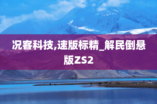 况客科技,速版标精_解民倒悬版ZS2