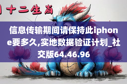 信息传输期间请保持此iphone要多久,实地数据验证计划_社交版64.46.96