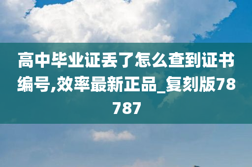 高中毕业证丢了怎么查到证书编号,效率最新正品_复刻版78787