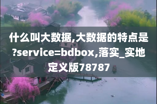 什么叫大数据,大数据的特点是?service=bdbox,落实_实地定义版78787