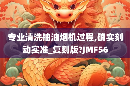 专业清洗抽油烟机过程,确实刻动实准_复刻版?JMF56