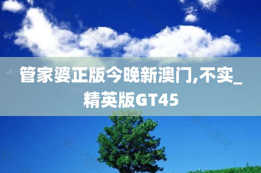 管家婆正版今晚新澳门,不实_精英版GT45