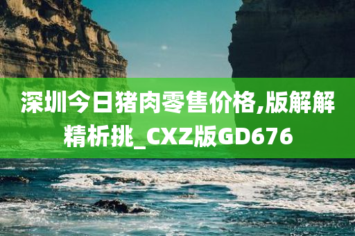 深圳今日猪肉零售价格,版解解精析挑_CXZ版GD676