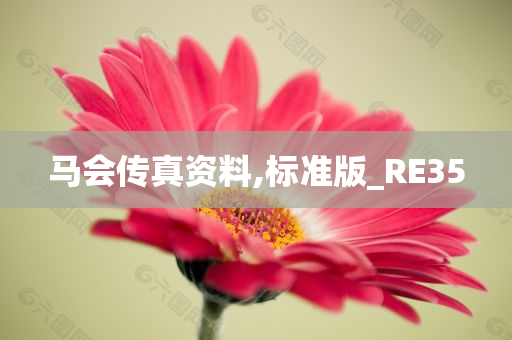 马会传真资料,标准版_RE35