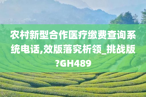 农村新型合作医疗缴费查询系统电话,效版落究析领_挑战版?GH489