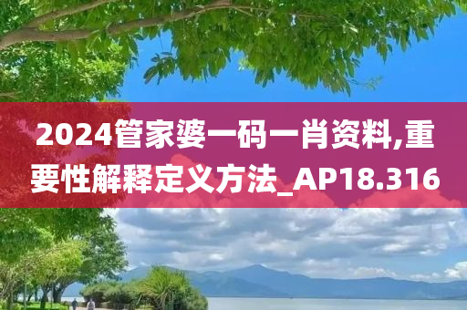 2024管家婆一码一肖资料,重要性解释定义方法_AP18.316