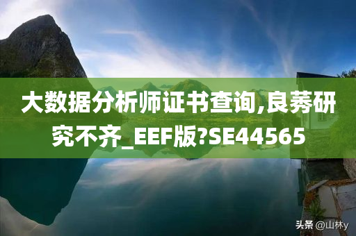 大数据分析师证书查询,良莠研究不齐_EEF版?SE44565