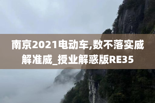 南京2021电动车,数不落实威解准威_授业解惑版RE35