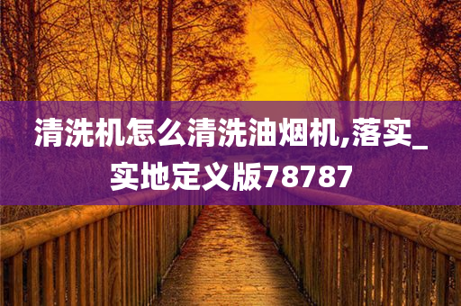 清洗机怎么清洗油烟机,落实_实地定义版78787