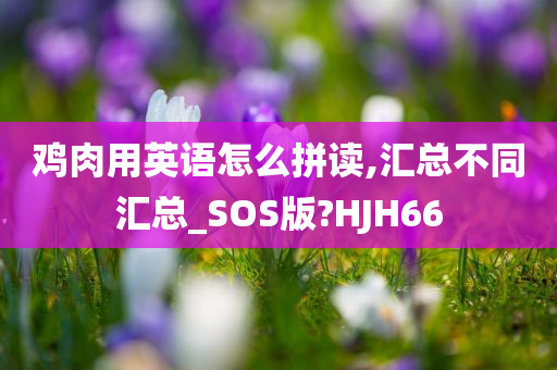 鸡肉用英语怎么拼读,汇总不同汇总_SOS版?HJH66