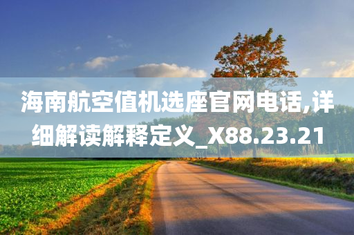 海南航空值机选座官网电话,详细解读解释定义_X88.23.21