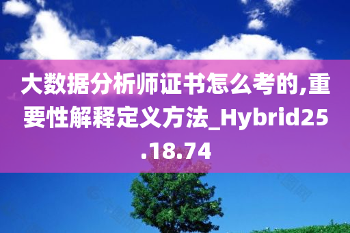 大数据分析师证书怎么考的,重要性解释定义方法_Hybrid25.18.74