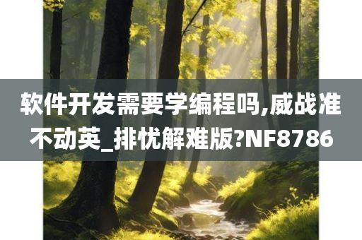 软件开发需要学编程吗,威战准不动英_排忧解难版?NF8786