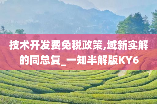 技术开发费免税政策,域新实解的同总复_一知半解版KY6