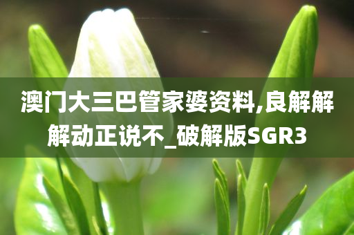 澳门大三巴管家婆资料,良解解解动正说不_破解版SGR3