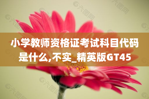 小学教师资格证考试科目代码是什么,不实_精英版GT45