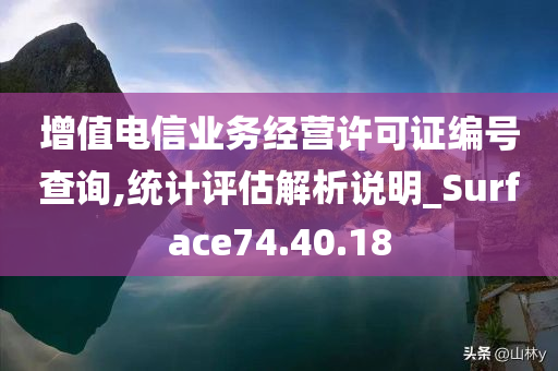 增值电信业务经营许可证编号查询,统计评估解析说明_Surface74.40.18