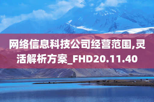 网络信息科技公司经营范围,灵活解析方案_FHD20.11.40