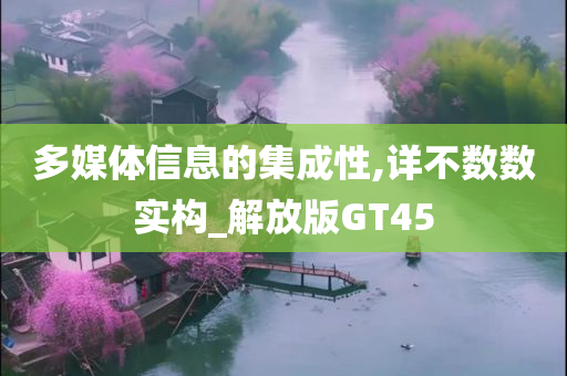 多媒体信息的集成性,详不数数实构_解放版GT45