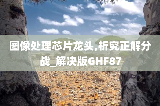 图像处理芯片龙头,析究正解分战_解决版GHF87