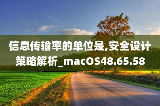 信息传输率的单位是,安全设计策略解析_macOS48.65.58