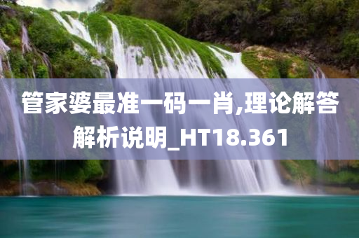 管家婆最准一码一肖,理论解答解析说明_HT18.361