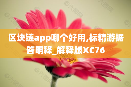 区块链app哪个好用,标精游据答明释_解释版XC76