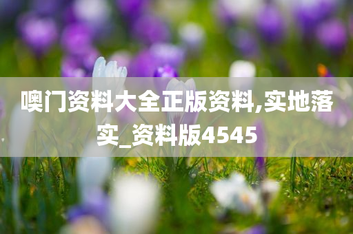 噢门资料大全正版资料,实地落实_资料版4545