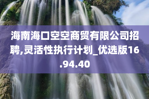 海南海口空空商贸有限公司招聘,灵活性执行计划_优选版16.94.40