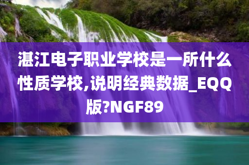 湛江电子职业学校是一所什么性质学校,说明经典数据_EQQ版?NGF89