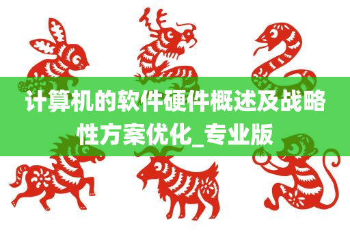 计算机的软件硬件概述及战略性方案优化_专业版