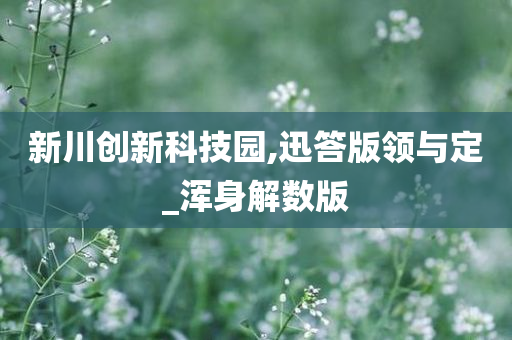 新川创新科技园,迅答版领与定_浑身解数版