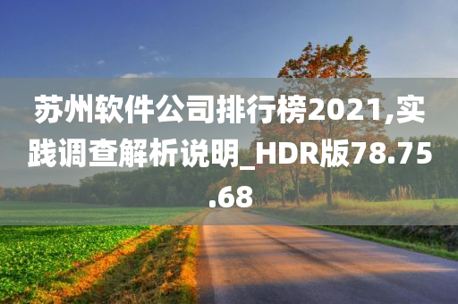 苏州软件公司排行榜2021,实践调查解析说明_HDR版78.75.68