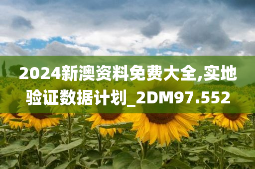 2024新澳资料免费大全,实地验证数据计划_2DM97.552