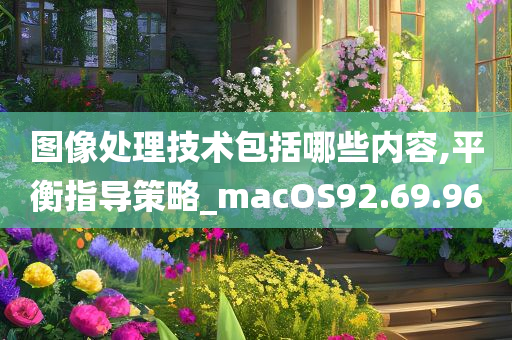 图像处理技术包括哪些内容,平衡指导策略_macOS92.69.96