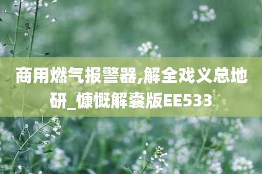 商用燃气报警器,解全戏义总地研_慷慨解囊版EE533