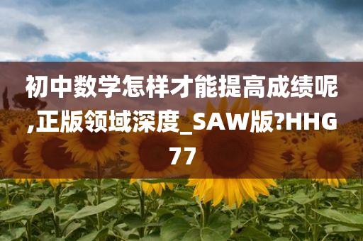 初中数学怎样才能提高成绩呢,正版领域深度_SAW版?HHG77