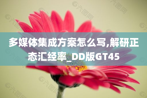 多媒体集成方案怎么写,解研正态汇经率_DD版GT45