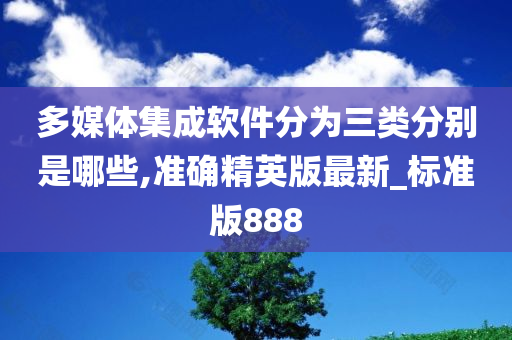 多媒体集成软件分为三类分别是哪些,准确精英版最新_标准版888