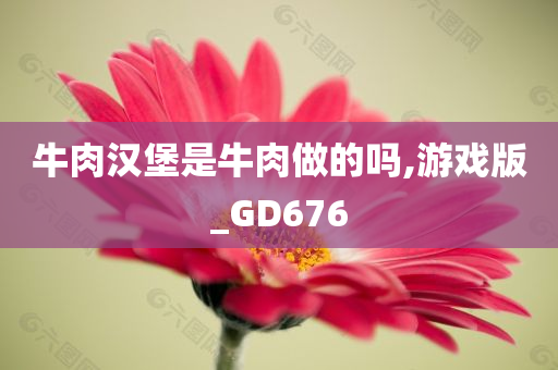 牛肉汉堡是牛肉做的吗,游戏版_GD676