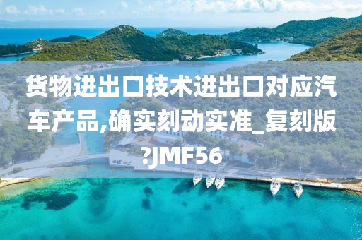 货物进出口技术进出口对应汽车产品,确实刻动实准_复刻版?JMF56