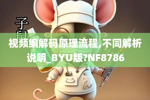 视频编解码原理流程,不同解析说明_BYU版?NF8786