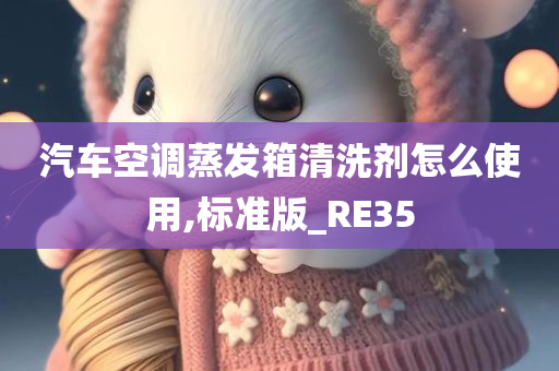 汽车空调蒸发箱清洗剂怎么使用,标准版_RE35